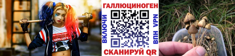 блэк спрут ссылки  Кисловодск  Галлюциногенные грибы мицелий  продажа наркотиков 