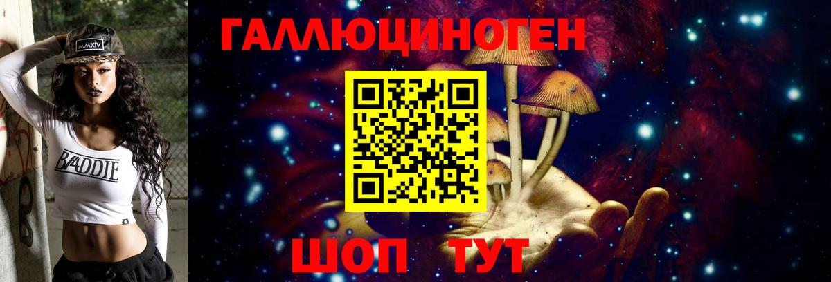 Галлюциногенные грибы Psilocybine cubensis  Вход с VPN  Псилоцибиновые грибы MAGIC MUSHROOMS  Кисловодск 