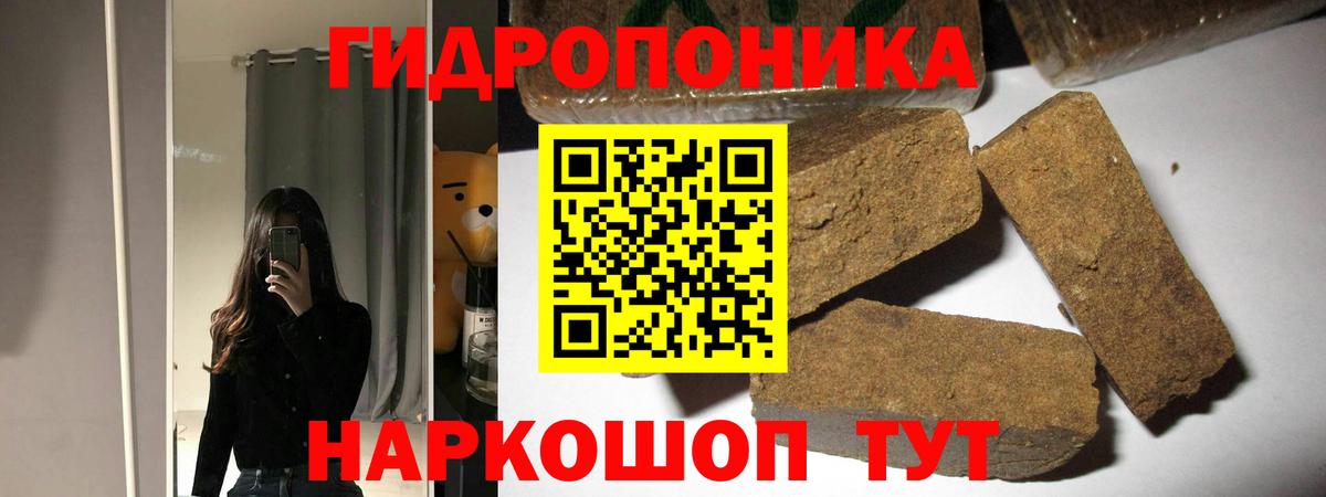Канабис OG Kush Кисловодск